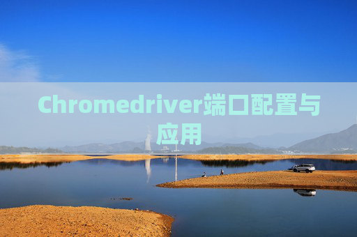 Chromedriver端口配置与应用